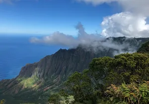 Private Kauai Island Tour : Waimea Canyon, Kalalau Lookout + More