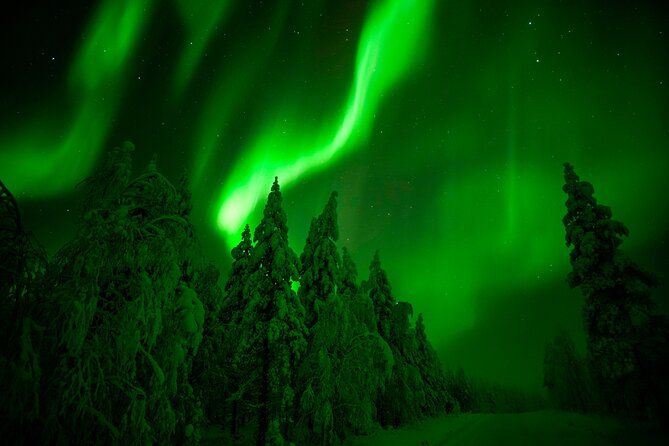 Guaranteed Northern Lights Hunting Adventure in Lapland