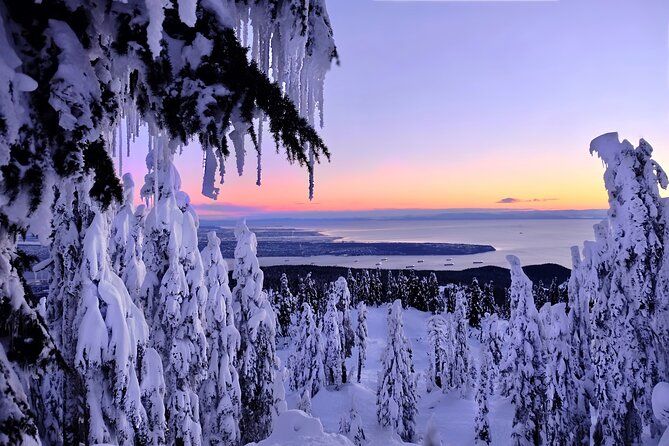 Snowshoeing In Vancouver's Winter Wonderland
