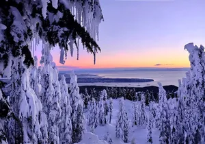 Snowshoeing In Vancouver's Winter Wonderland