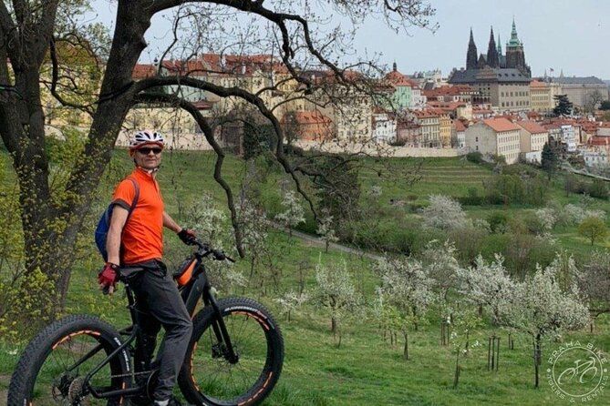 FAT TIRE E-BIKE GREAT TOUR - river, parks & panoramic views tour