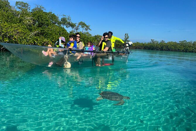 6-Passenger Motorized Clear Kayak Mangrove Tour in Providenciales