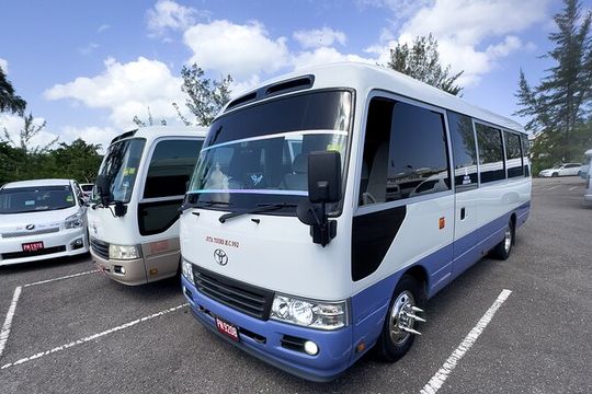 Montego Bay City highlight And Souvenir Shopping Group Tour