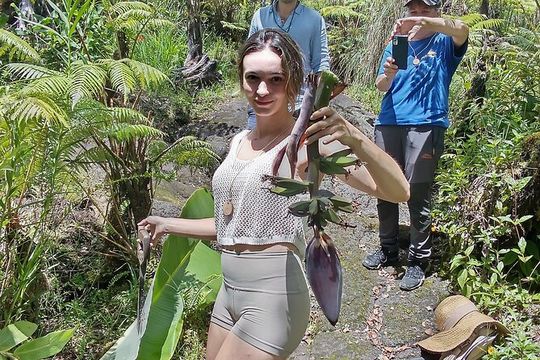 Big Island Jungle Tour with Guava Green Tea