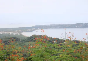 Private Tour of Cerro del Mono