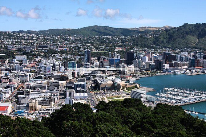 Private custom tour with a local guide Wellington