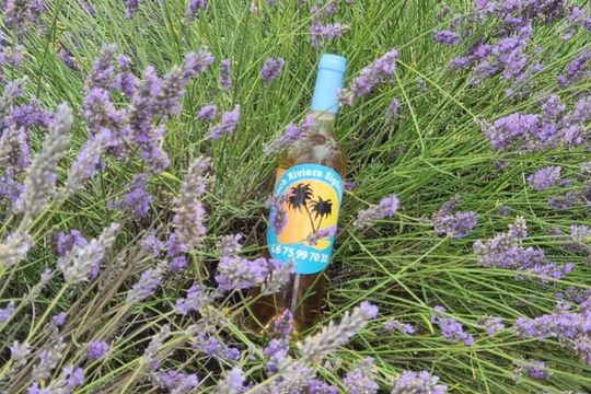 Full Day Private Tour in Lavender and Provence with Pickup