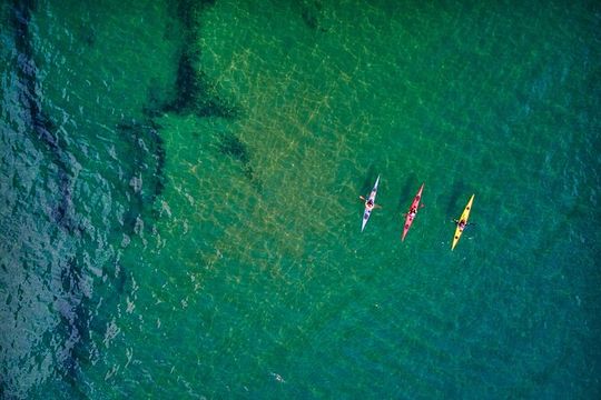 Sick Day Midweek Kayak Tour on Tomales Bay