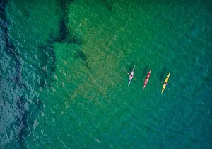 Sick Day Midweek Kayak Tour on Tomales Bay