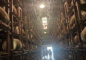 Private Appleton Estate Rum Tour with Limestone Massage, Rafting