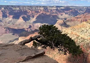 Grand Canyon Luxury Car Tour Experience