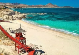 Private Guided Snorkeling Experience in Cabo Pulmo