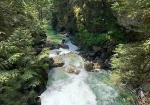 Hike and Bike the Vancouver Forests