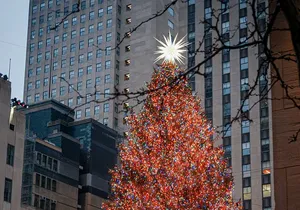 Home Alone Lost In New York Filming Locations with Private Guide