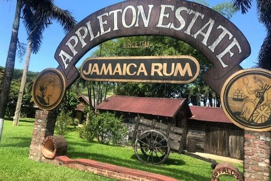 Full Day YS Falls and Appleton Estate Tour from Montego Bay