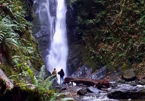 Enchanted Southern Vancouver Island Day Trip – Private Tour