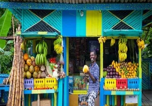 Street Food Tour in Montego Bay