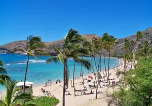 Circle Oahu Island Private Tour with Daily Chauffeur