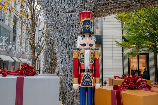 Downtown DC Holiday Tour: Lights, Decorations & Festive Cheer