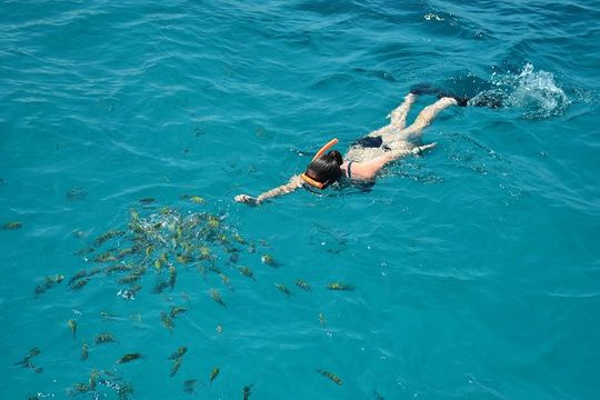 Dreamer Catamaran Montego Bay Cruise to Negril from Falmouth