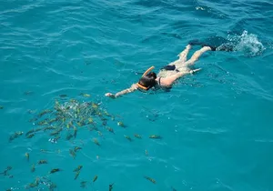 Dreamer Catamaran Montego Bay Cruise to Negril from Falmouth