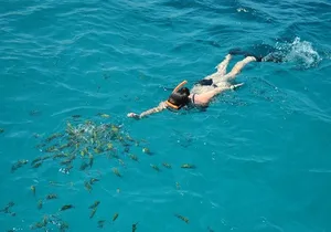 Dreamer Catamaran Montego Bay Cruise to Negril from Falmouth