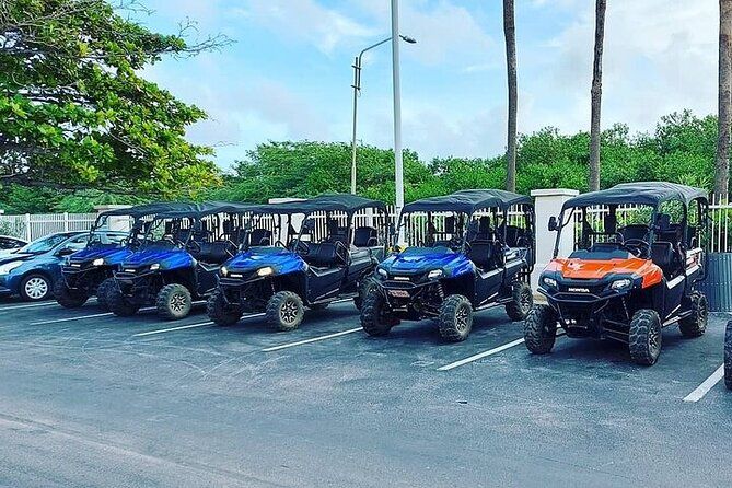 6 Seater Utv Rental Aruba