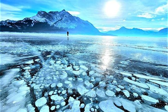 Icefields Parkway and Abraham Lake Bubbles Private Tour