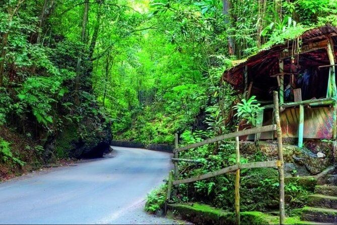 Guided Sightseeing and Shopping Tour in Ocho Rios