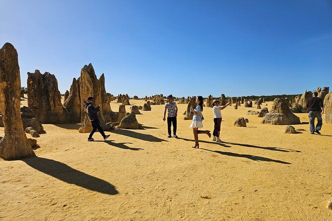 Private Pinnacle Day-Tour; Pinnacles,lobster shack & Lancelin
