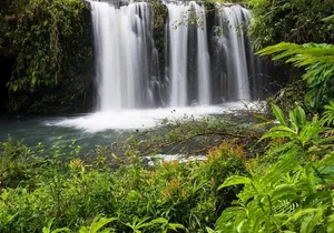 Private Road to Hana Rainforest & Waterfall Experience from Maui