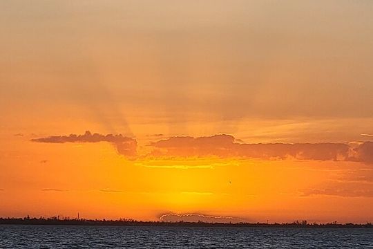 Fort Myers Beach Sunset and Dolphin Watching Cruise