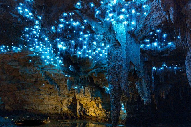 Private Auckland to Waitomo Glowworm Caves Tour.
