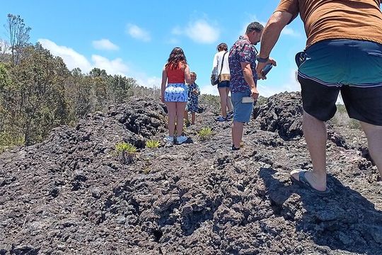 Private Hilo Shore Excursion Volcano National Park up to 10