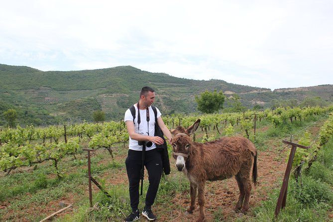 Albanian Highlights - UNESCO sites,Nature and Food tour