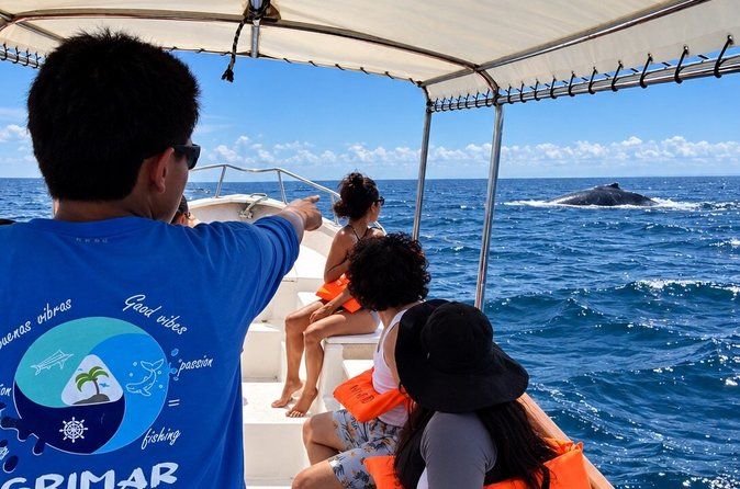 Private Humpback Whale Watching Tour in Punta Mita