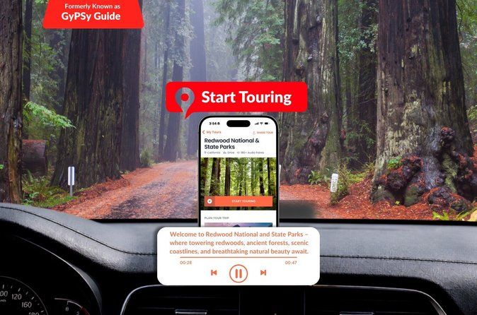 Self Guided Driving Audio Tour of Redwood National and State Park