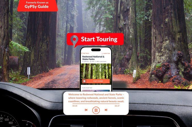 Self Guided Driving Audio Tour of Redwood National and State Park