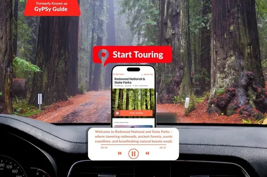 Self Guided Driving Audio Tour of Redwood National and State Park