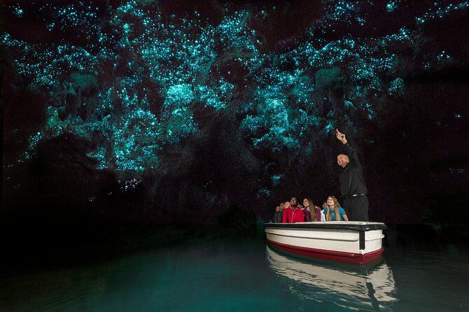 Private Auckland to Rotorua Tour via Waitomo Caves.