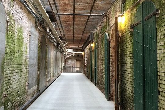 Private Tour of San Francisco and Alcatraz with local tour guide