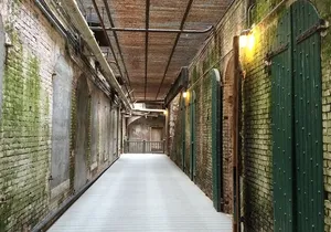 Private Tour of San Francisco and Alcatraz with local tour guide