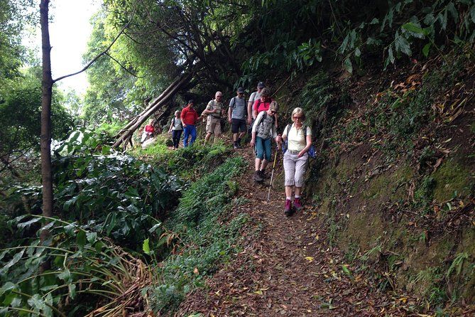 Join us for the Amazing Sanguinho Forest Walk