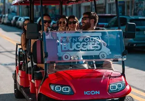 Wynwood Walls Admission and Neighborhood Buggy Experience