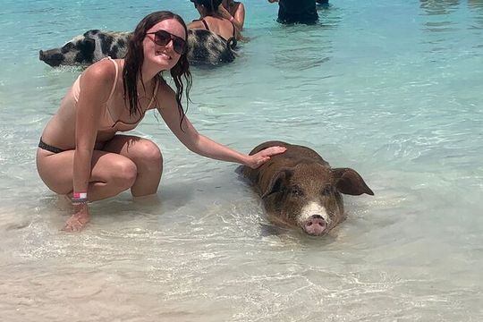 Nassau: Half Day Reef Snorkeling, Turtles & Swimming Pigs