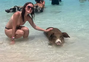 Nassau: Half Day Reef Snorkeling, Turtles & Swimming Pigs