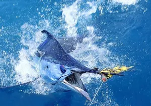 Private Deep Sea Fishing in Montego Bay