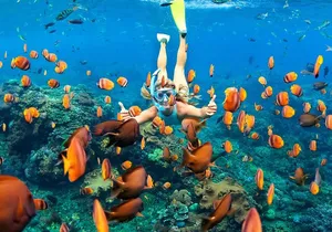 Sunset Cruise with Whale Watching (Seasonal)