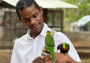 Bird Sanctuary and Montego Bay City Tour