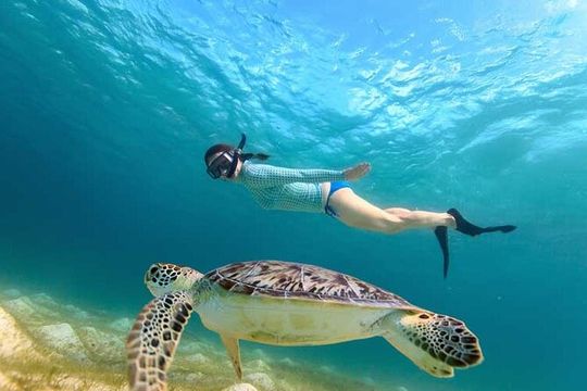 Swim with Turtles in Akumal, Cenote and Visit the Archaeological Zone